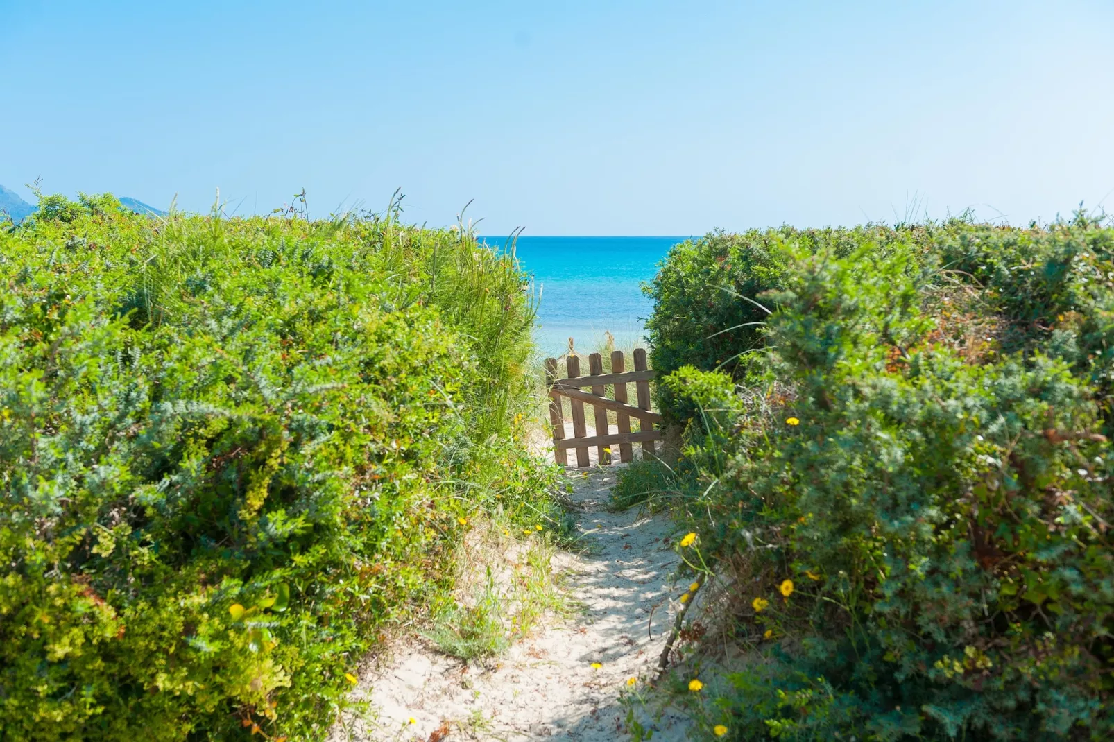 Sa Platja-Areas summer 5km
