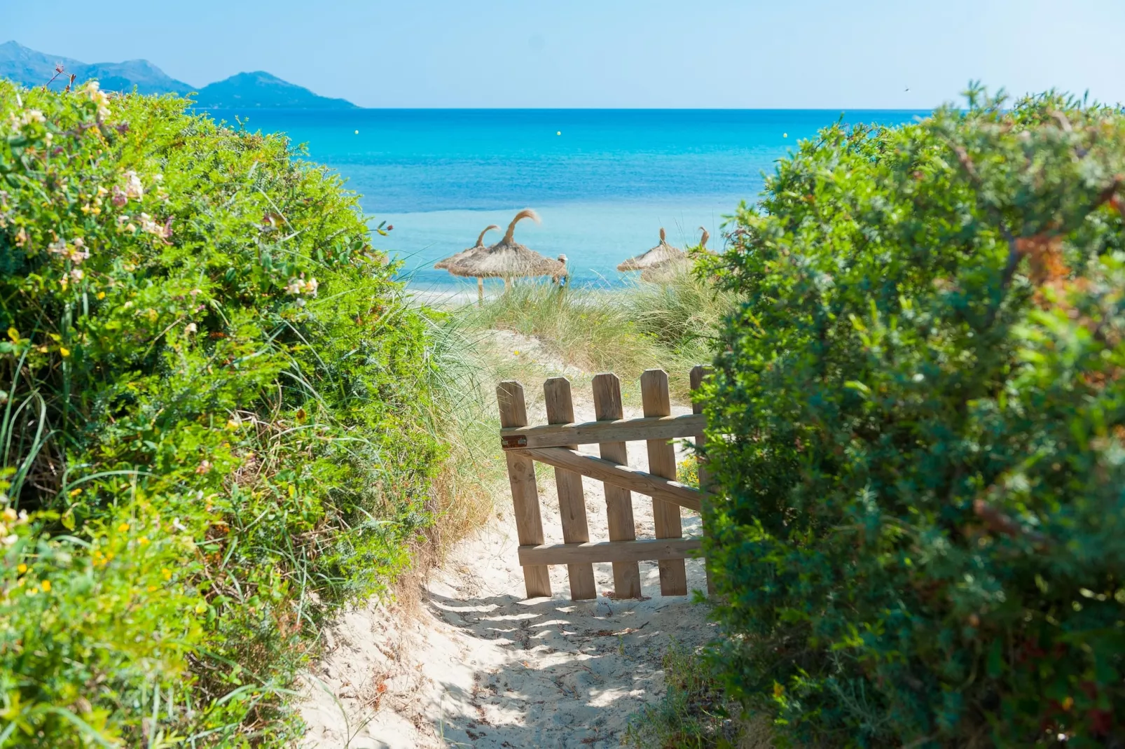 Sa Platja-Areas summer 5km