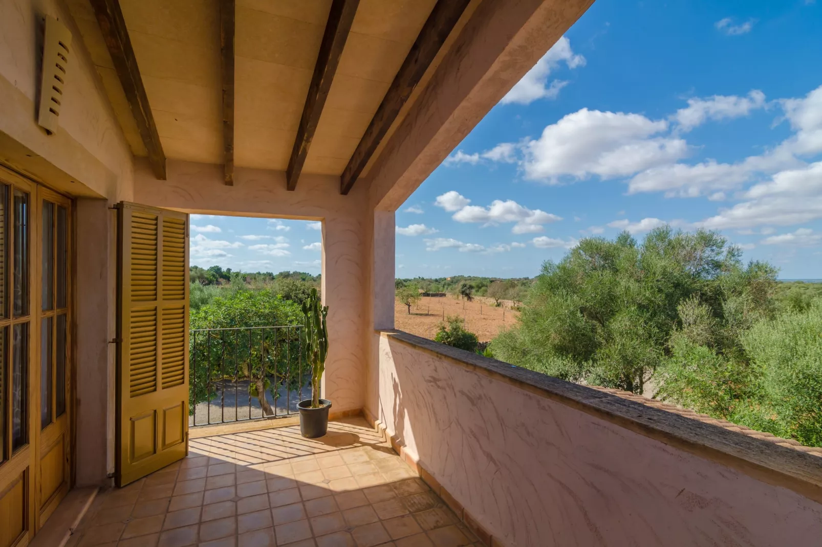 Ca Na Carme - Terrace balcony