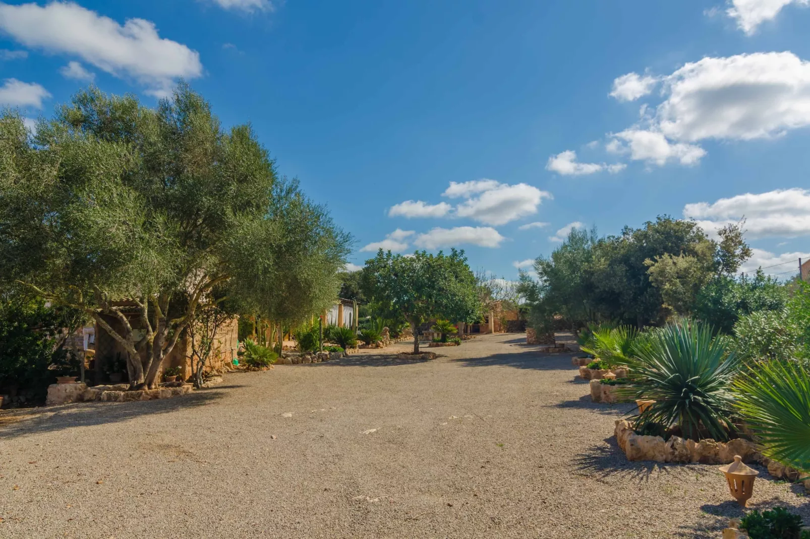 Ca Na Carme - Areas within 1km in summer