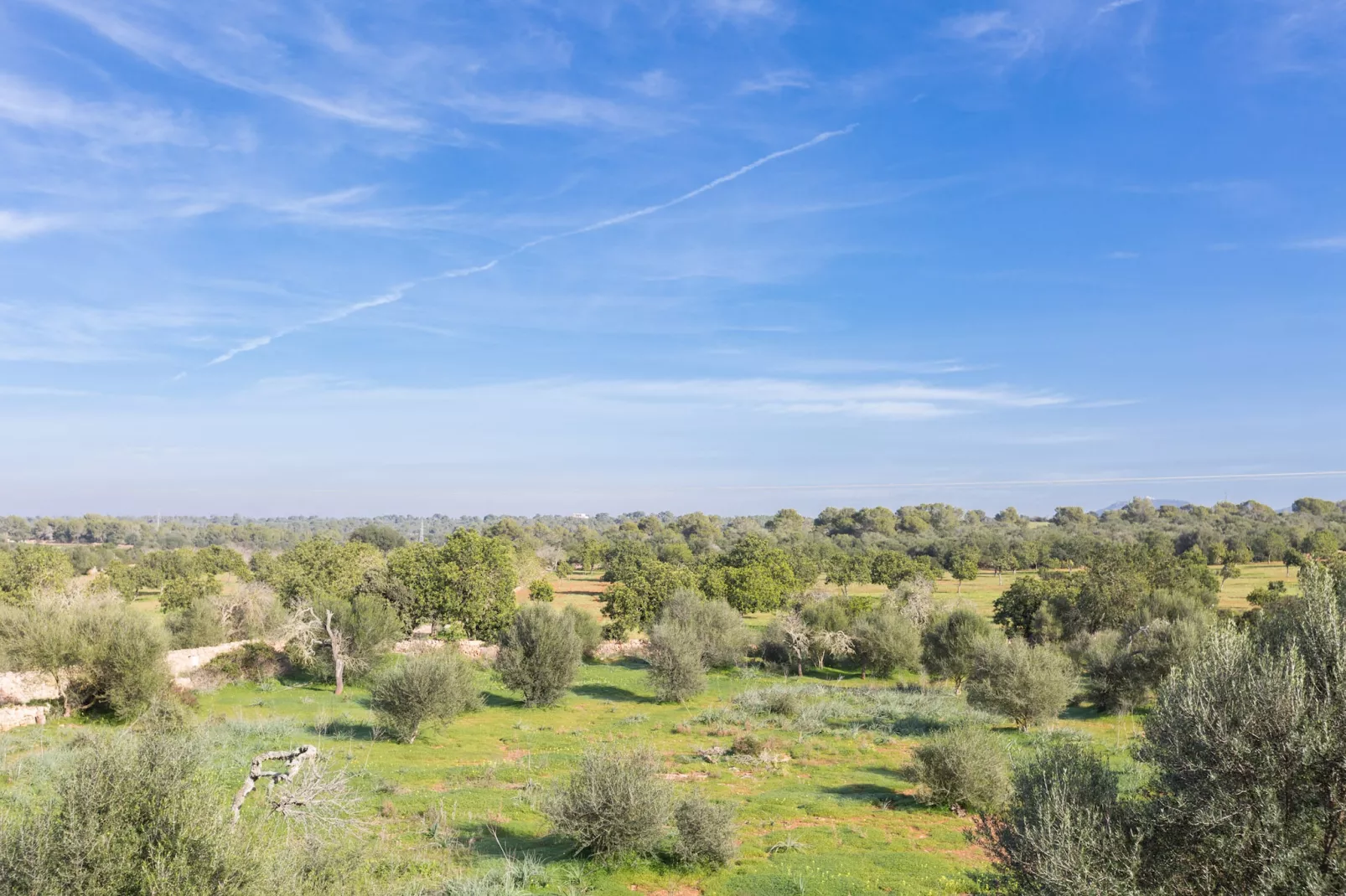 Ca Na Carme - Areas within 5km in summer