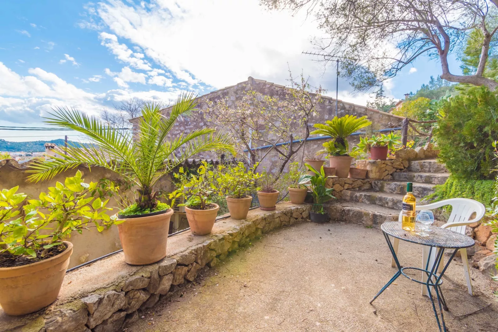 Ca Na Carme (alaronera)-Terrace balcony