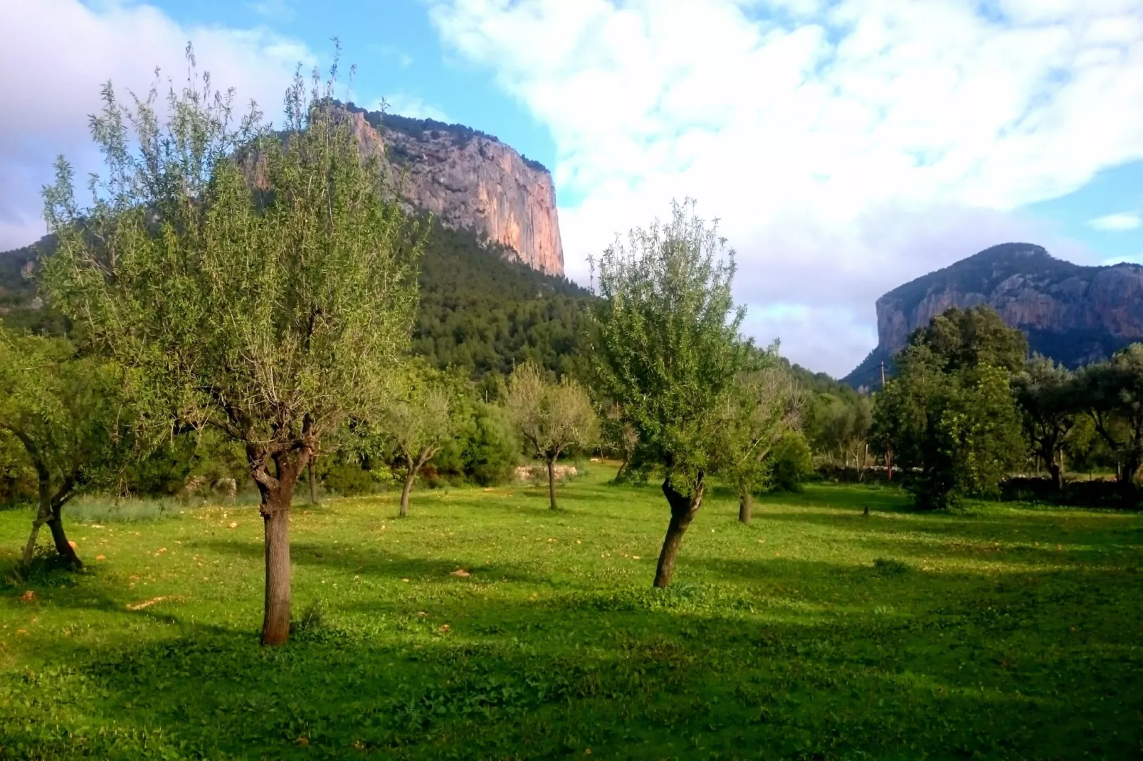 Ca Na Carme (alaronera)