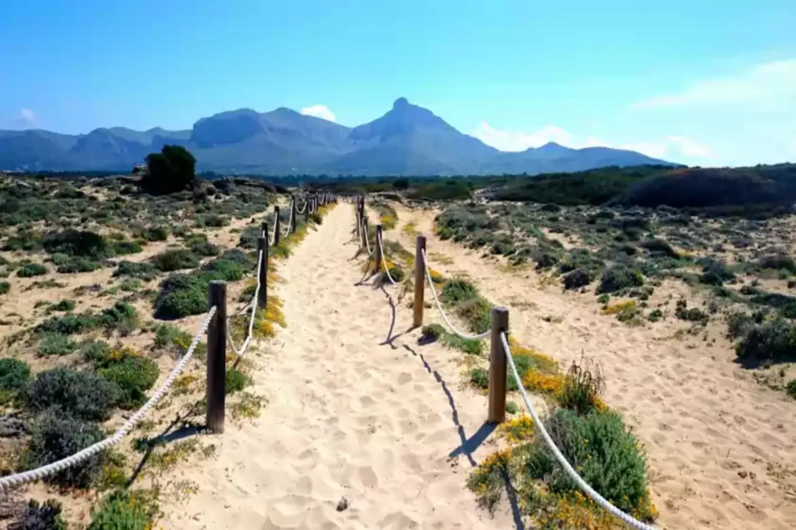 Tres Pins-Areas summer 1km