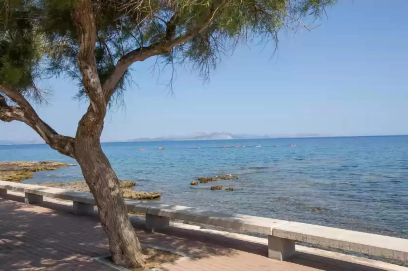 Tres Pins-Areas summer 1km