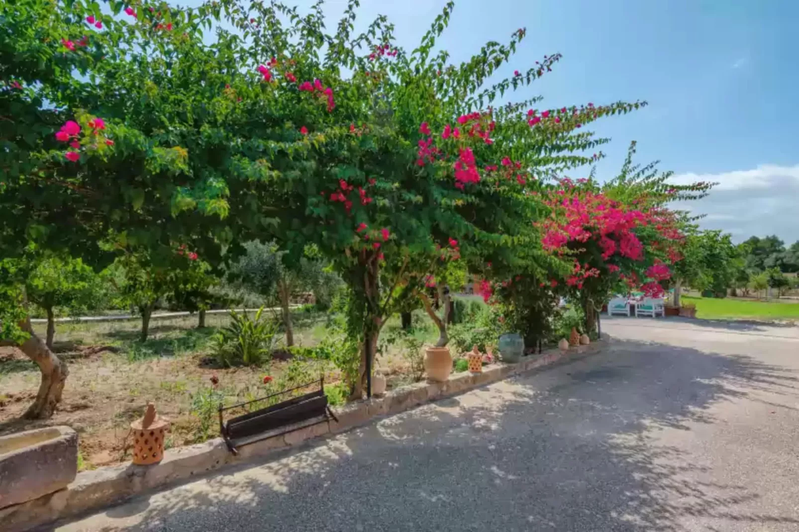 Can Calafat-Exterior summer