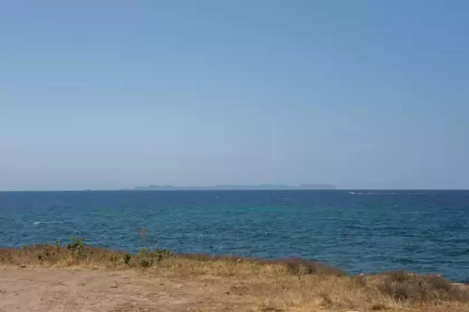 Mosaic-Areas summer 1km