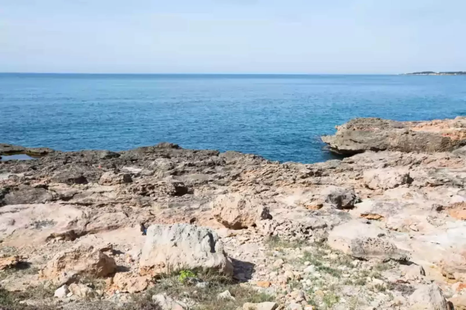 Mosaic-Areas summer 1km