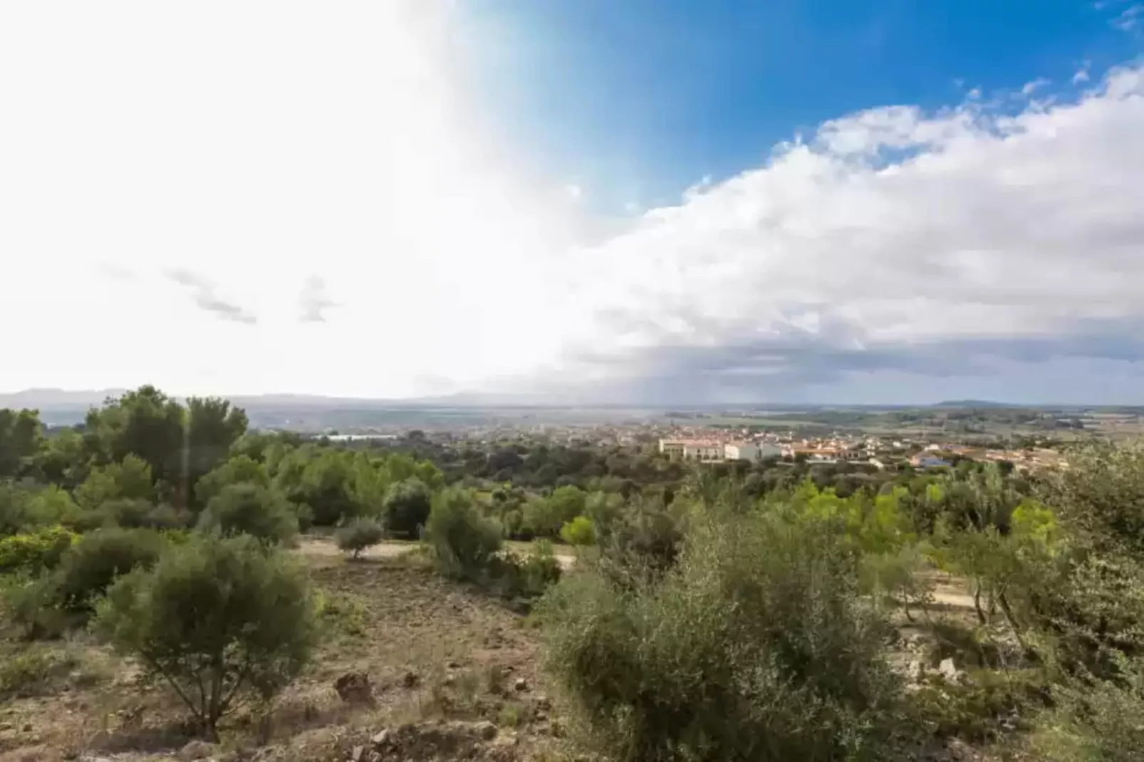 Son Morey-Areas summer 1km