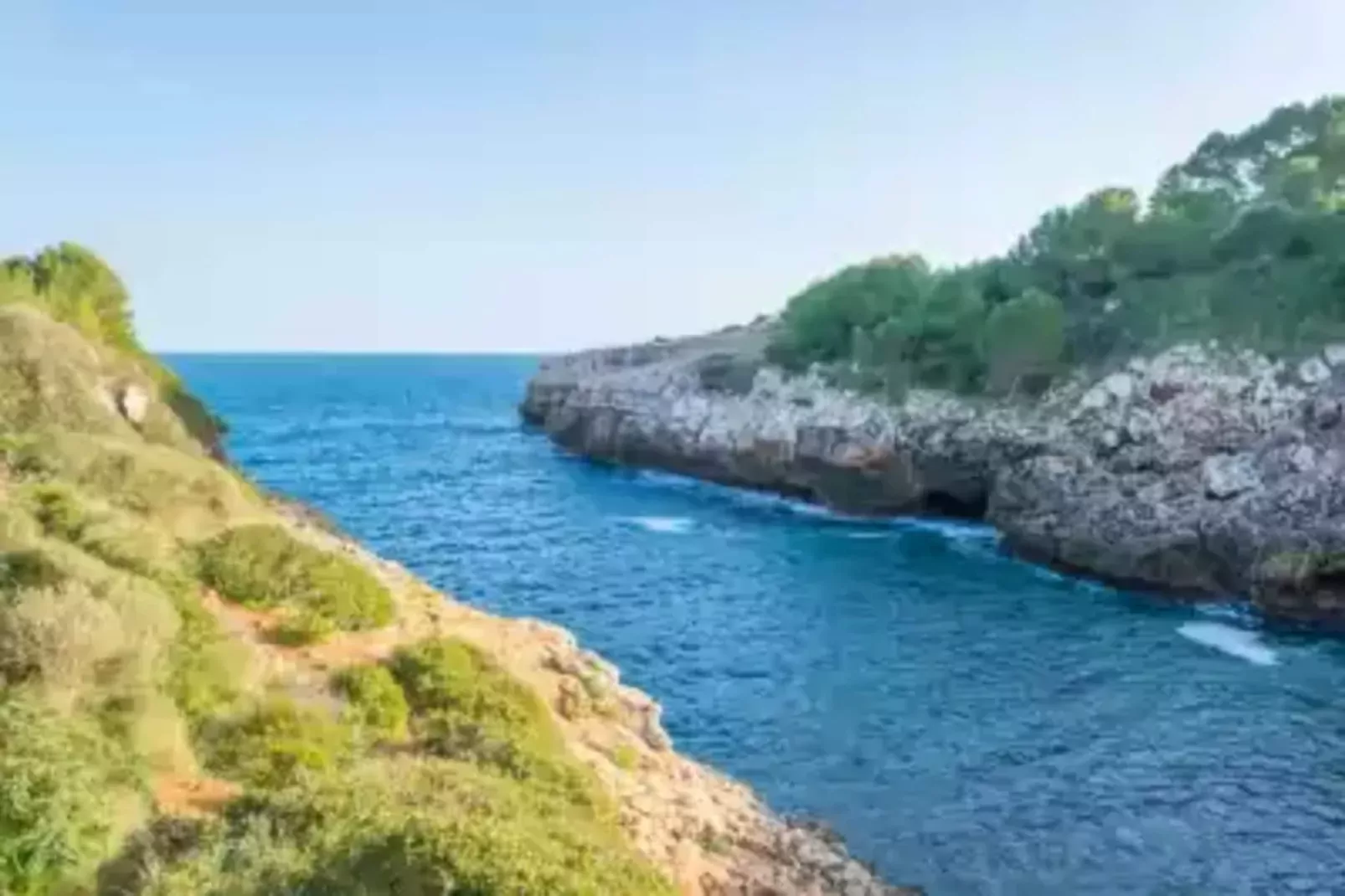 Na Llebrona-Areas summer 1km