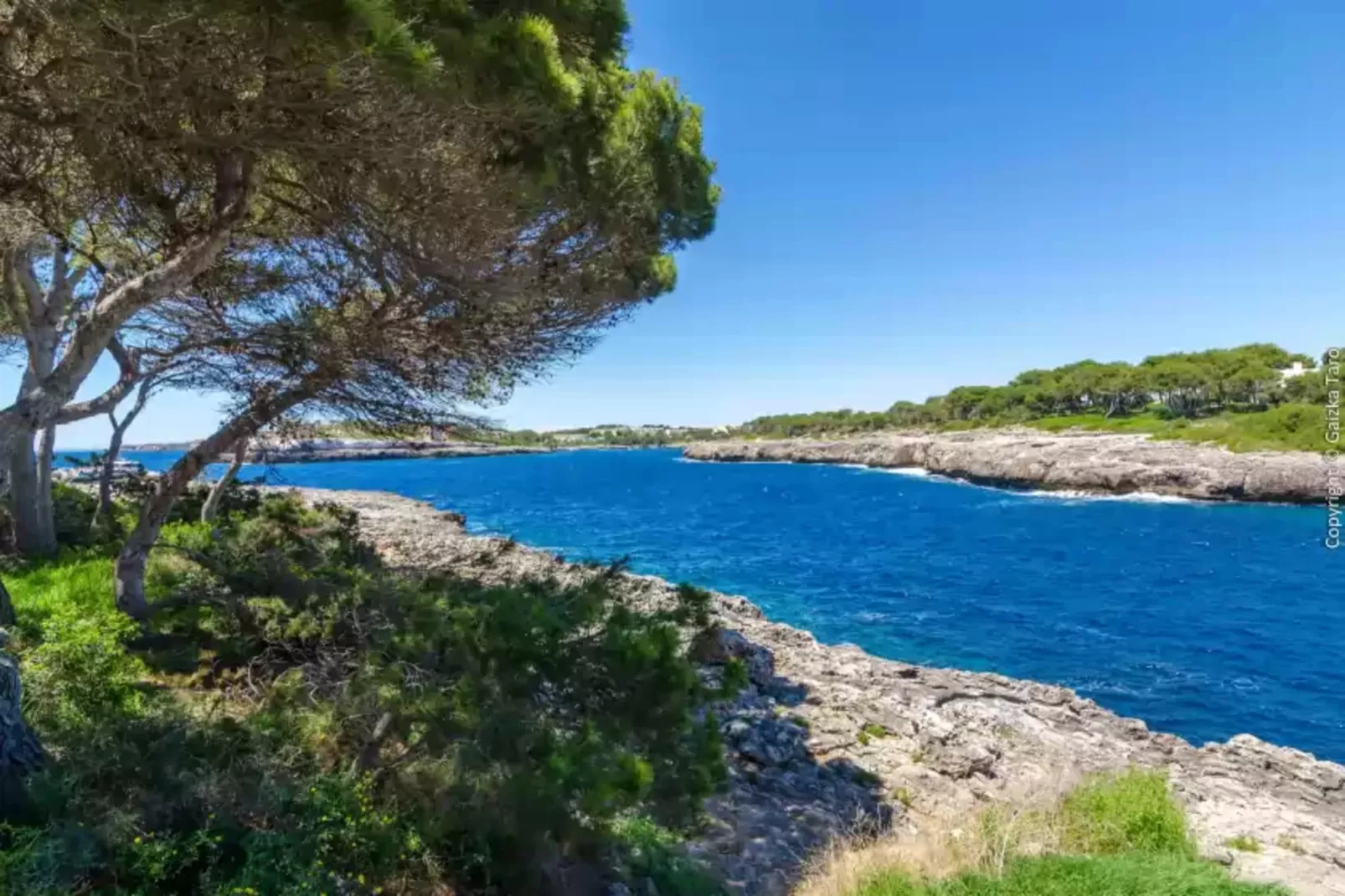 Es Coll D'en Pastor-Areas summer 1km