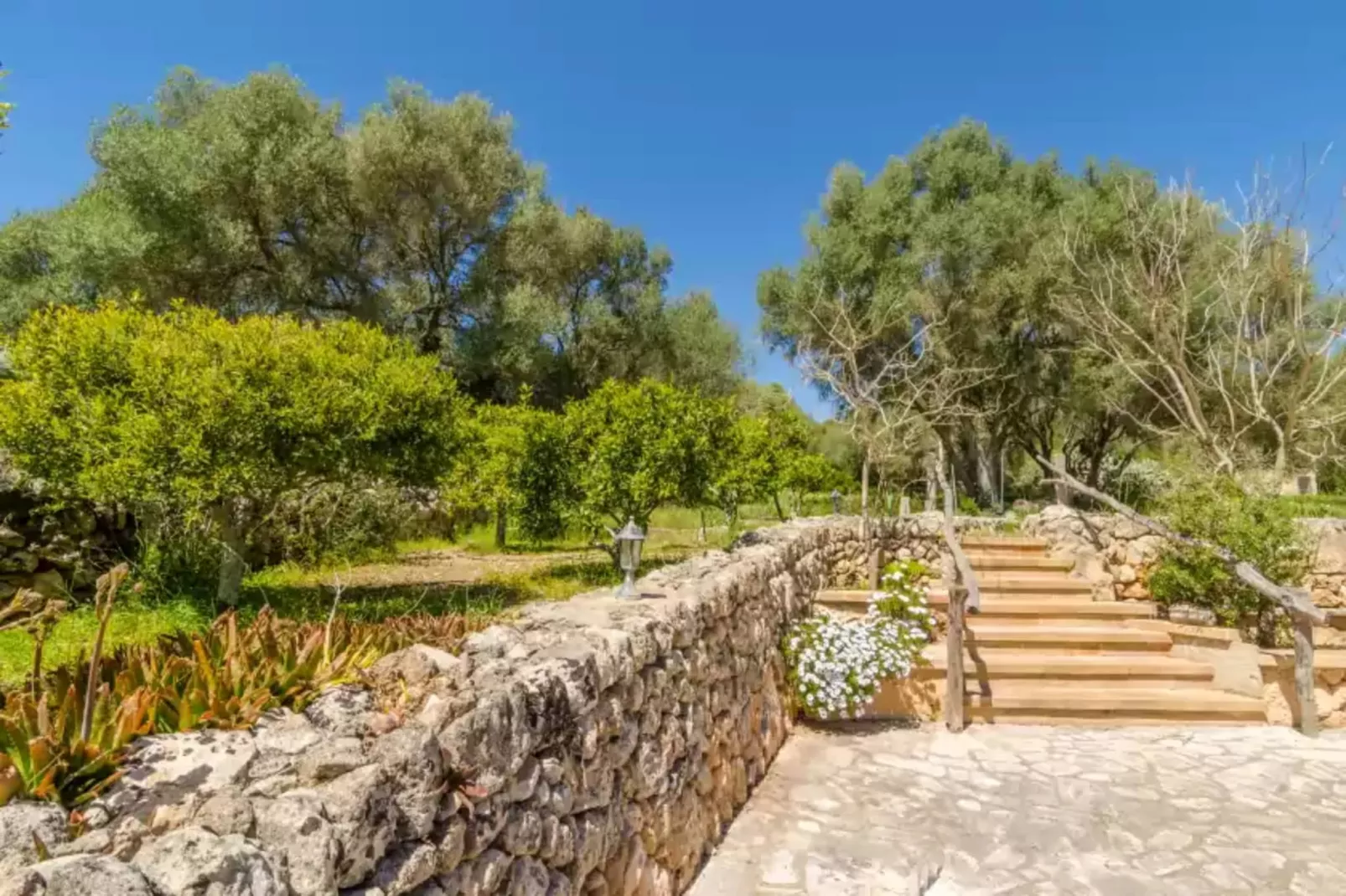Can Gallot De Punxuat-Exterior summer