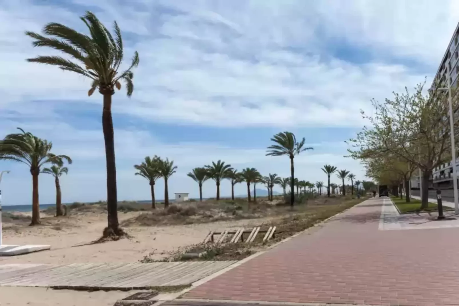 Rosmeri-Areas summer 1km