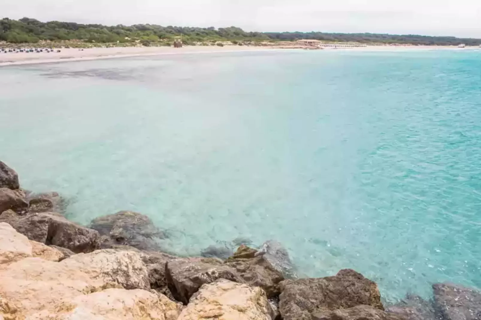 Can Xesquet (pleta Morell)-Areas summer 1km