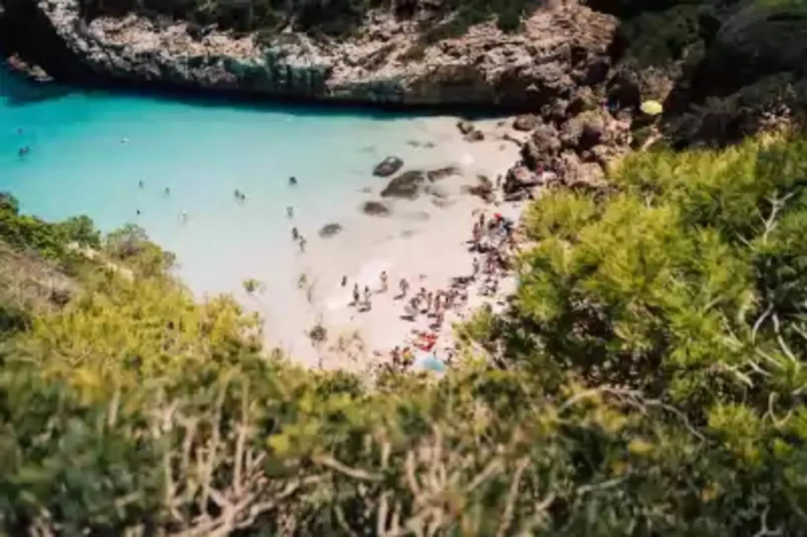 Can Xesquet (pleta Morell)-Areas summer 1km