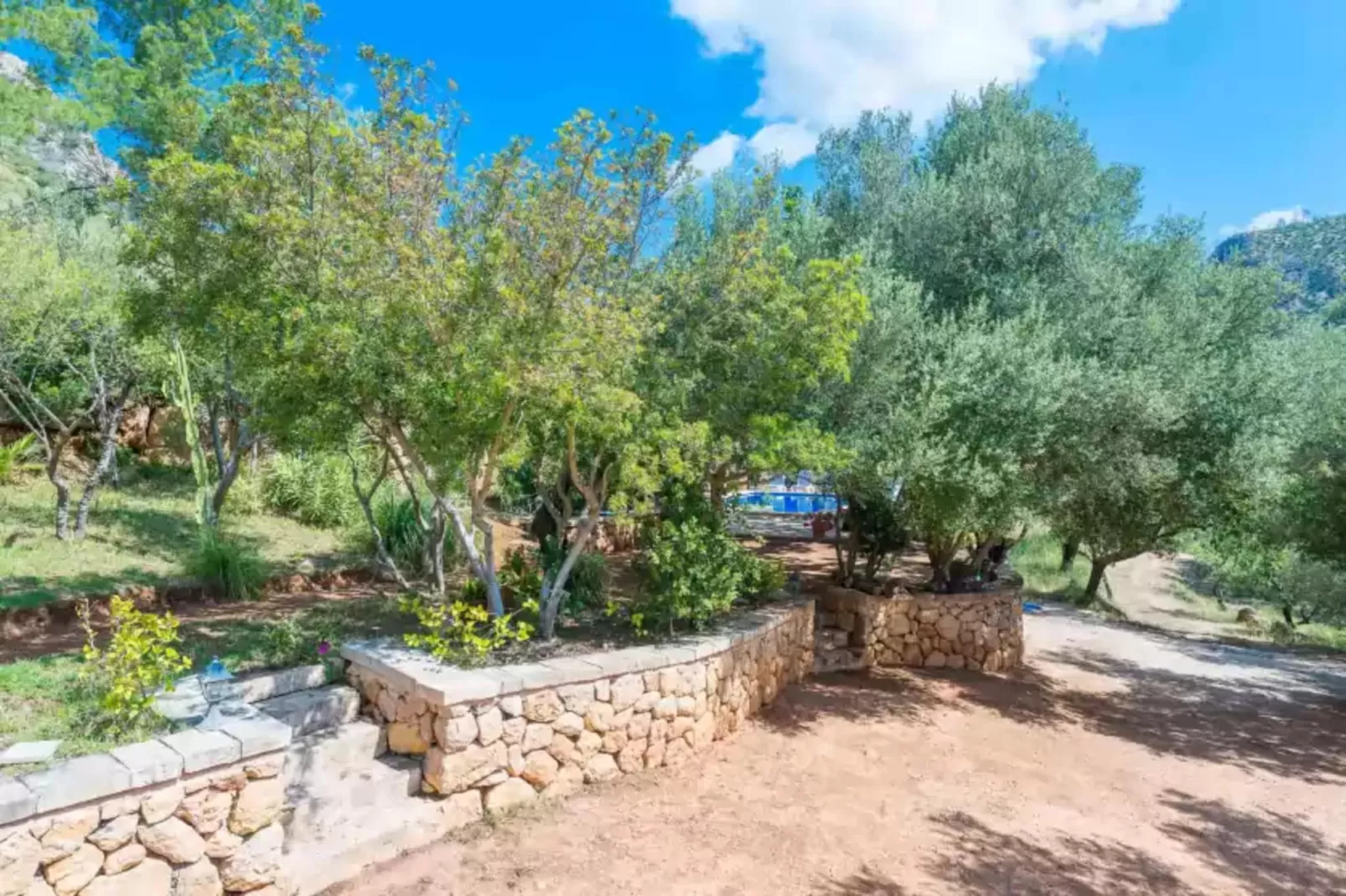 Sa Tarongera-Exterior summer