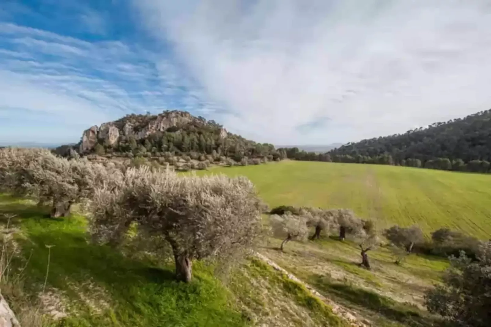 Finca Can Calisto-Areas summer 1km
