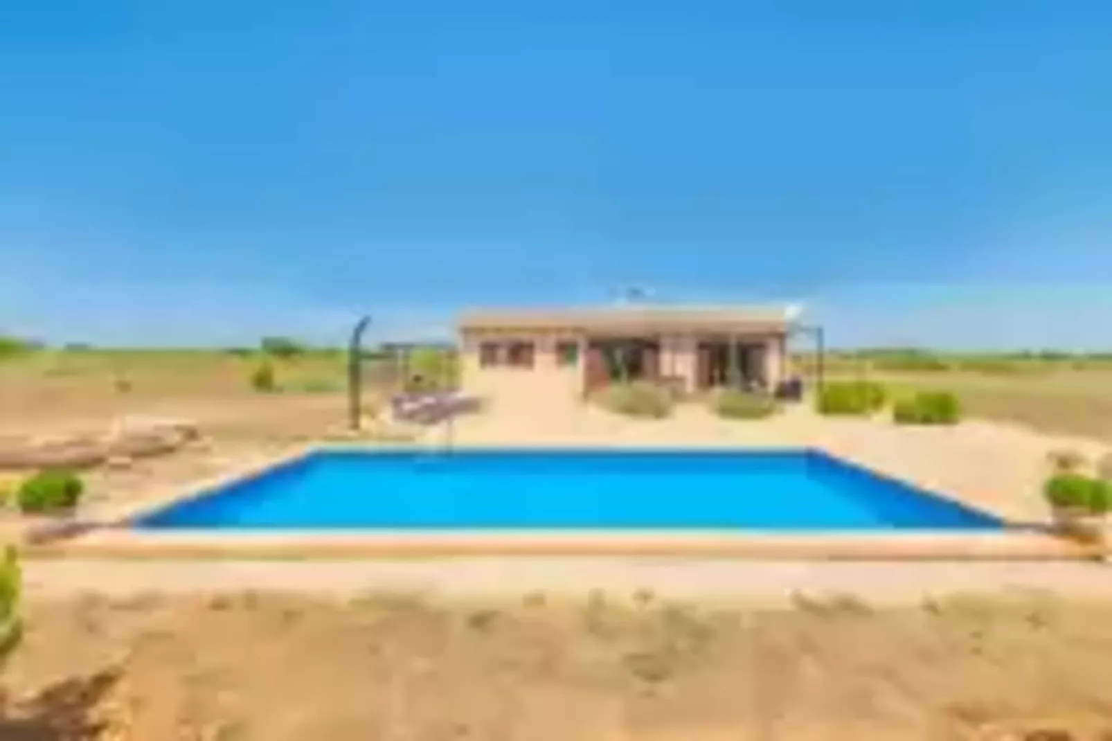 Son Fred-Pool