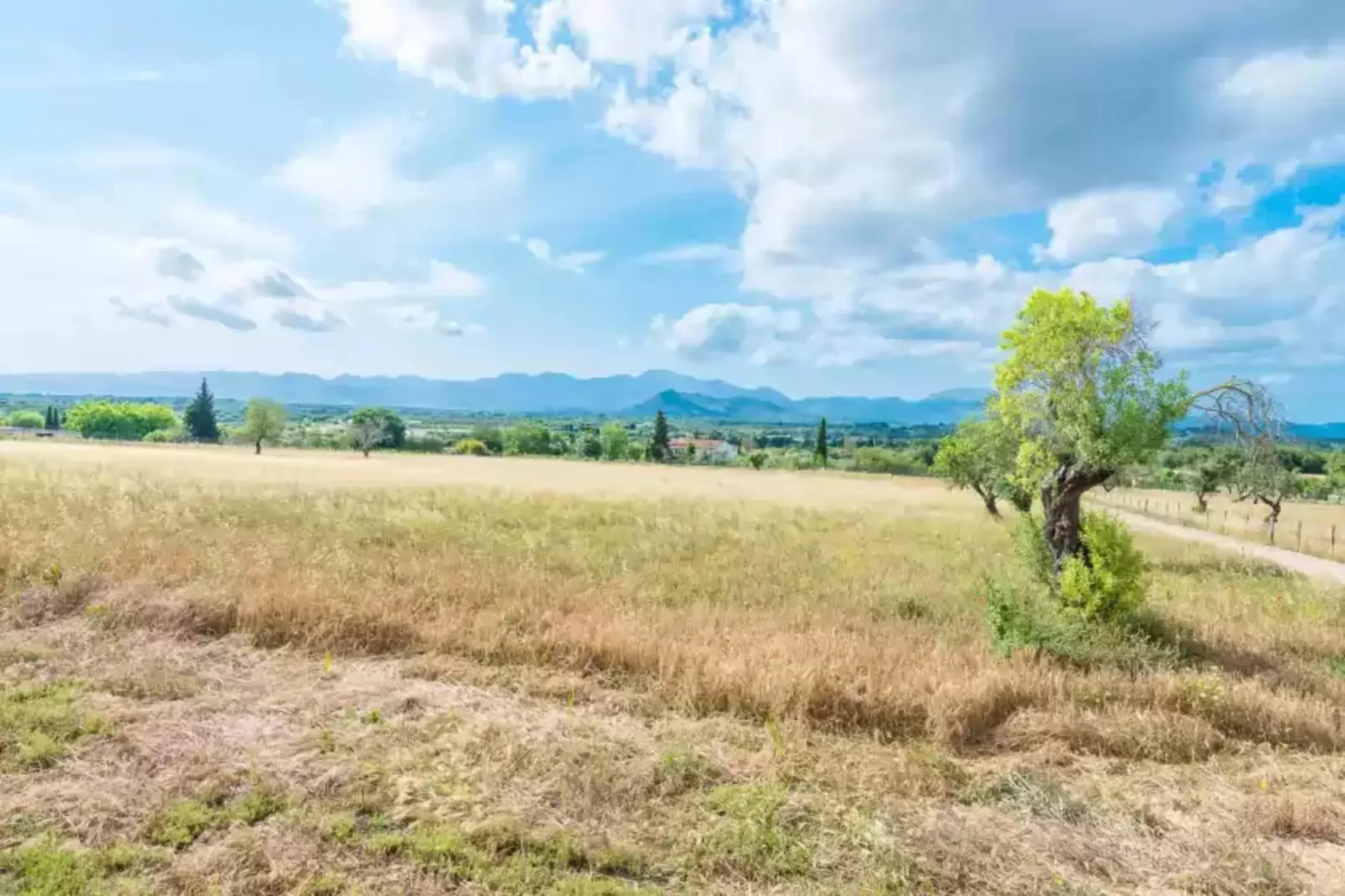 Sa Vinyota-Gebiete Sommer 1 km
