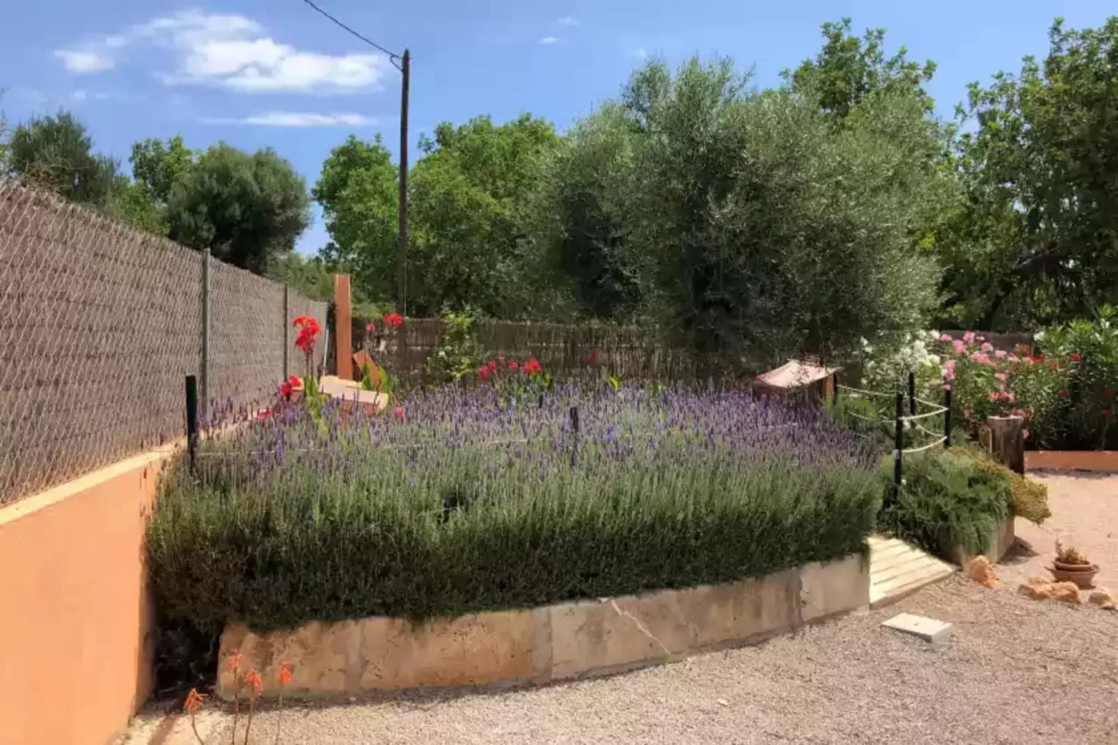 Son Segi-Gardens summer