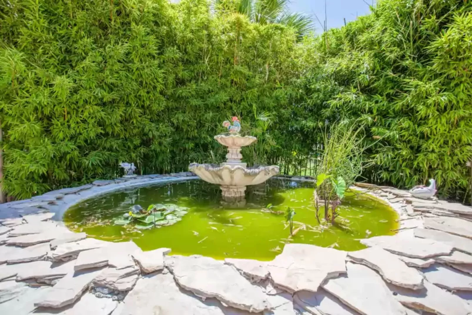 Son Segi-Gardens summer