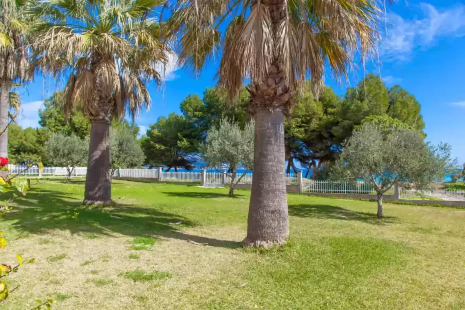 Sun Of The Bay Vidalba 2 (b2 - A2)-Areas summer 1km