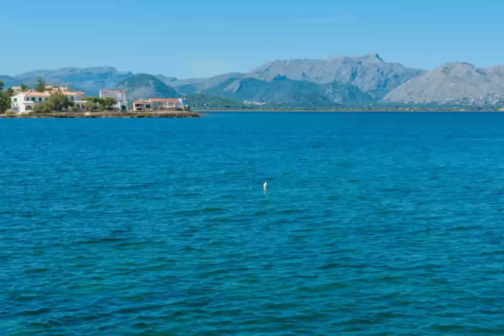 Can Caimari-Areas summer 1km