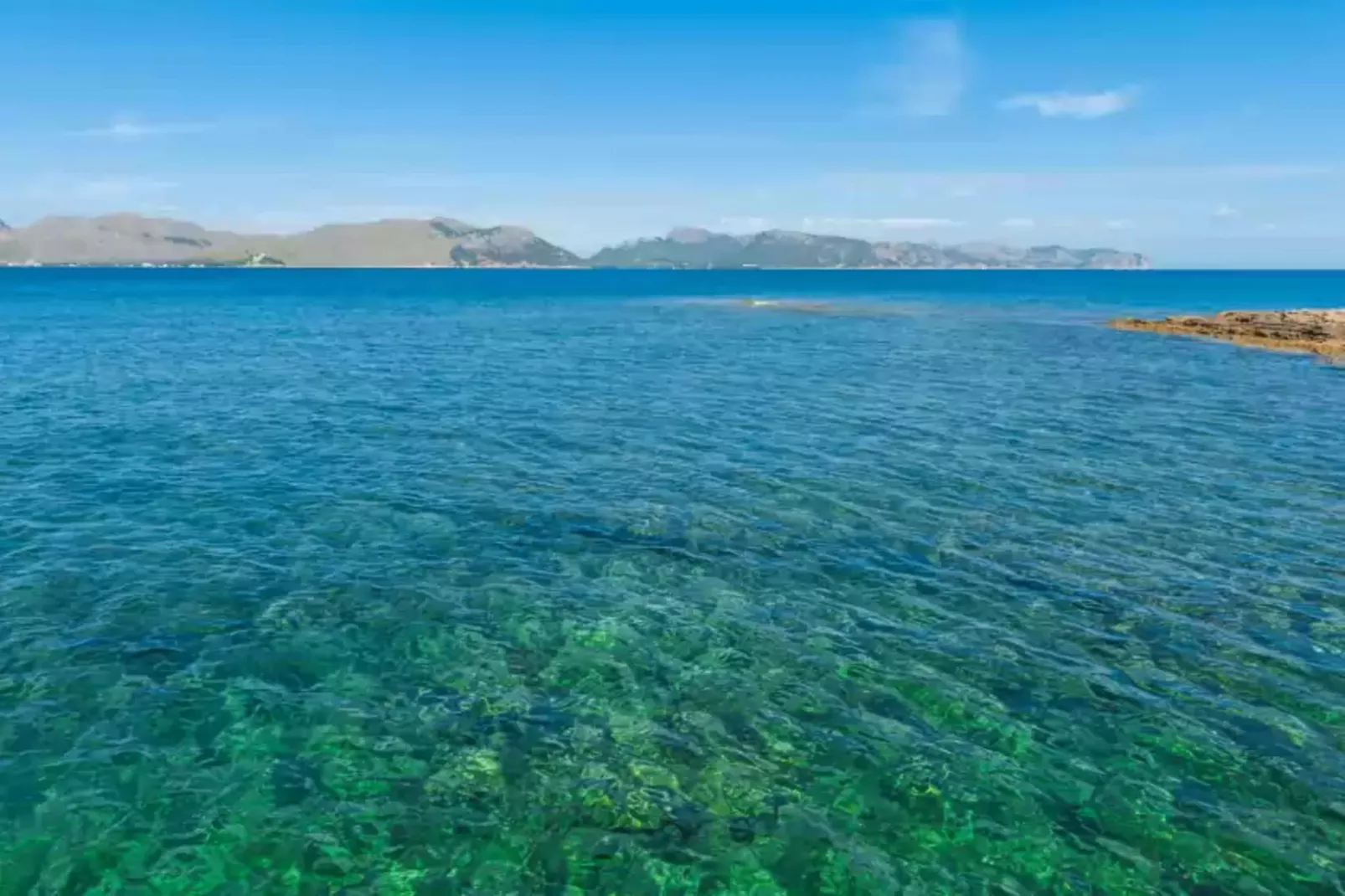 Can Caimari-Areas summer 1km