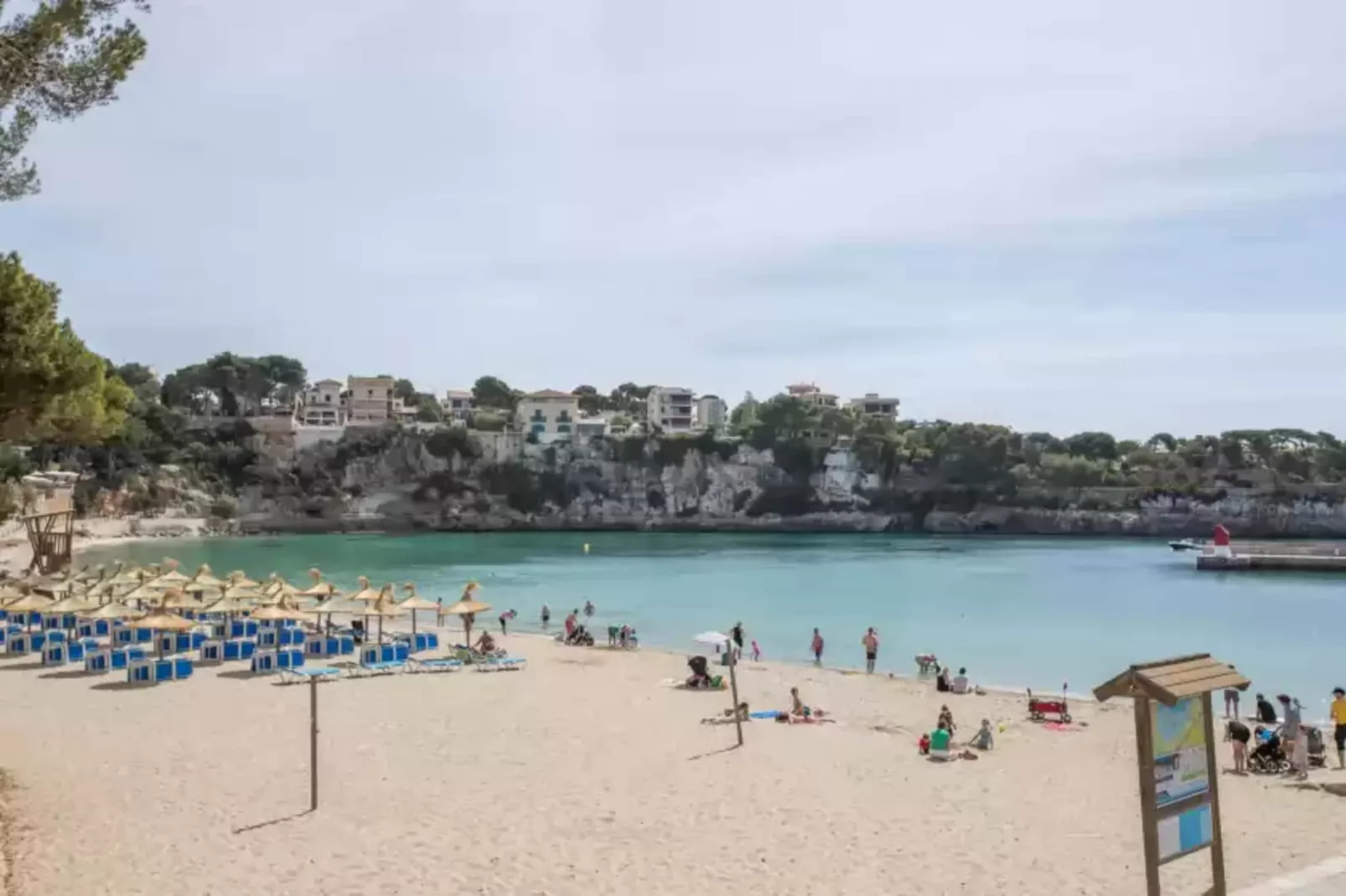 Can Teco-Areas summer 1km