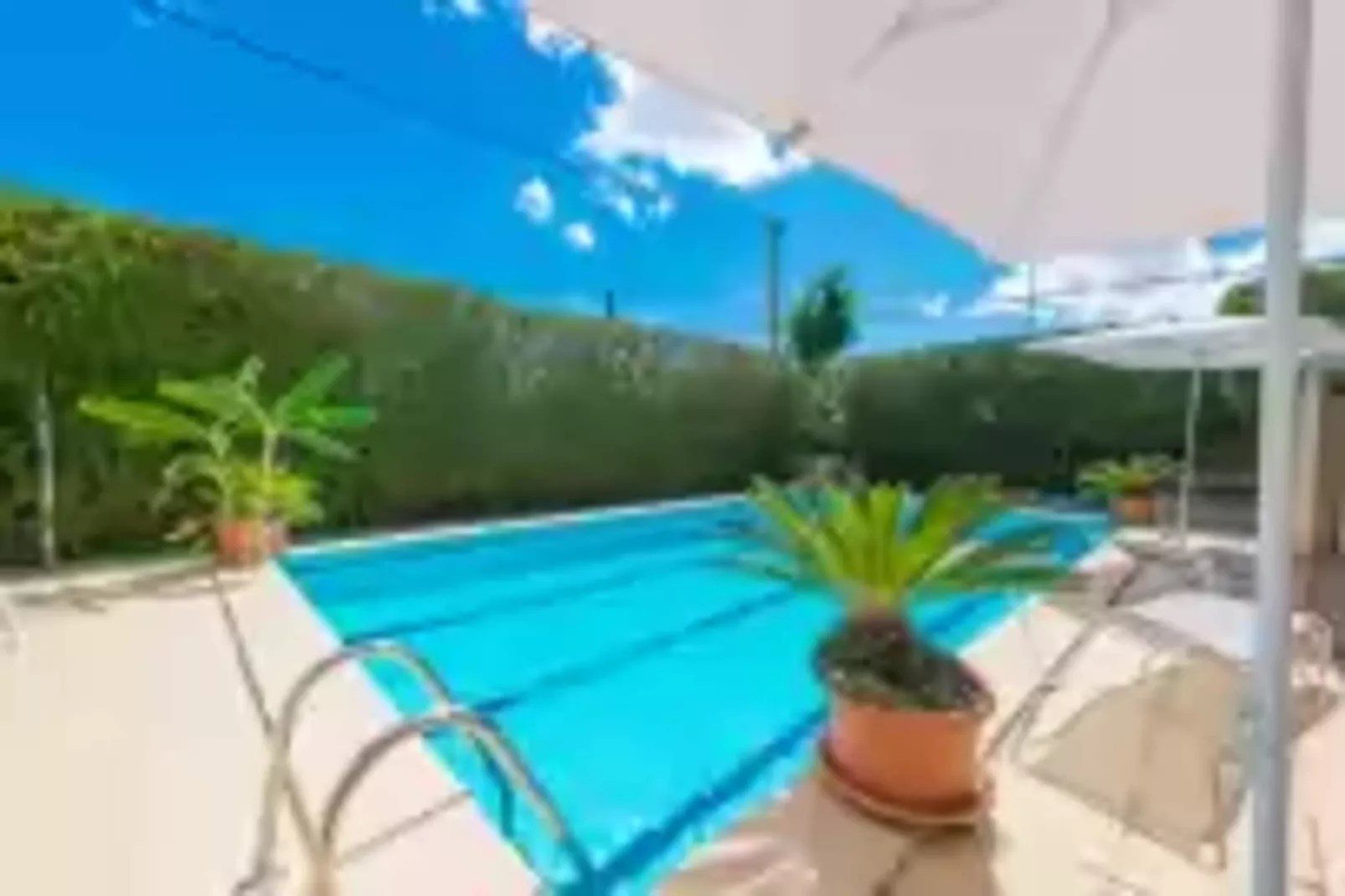 El Pradillo-Pool