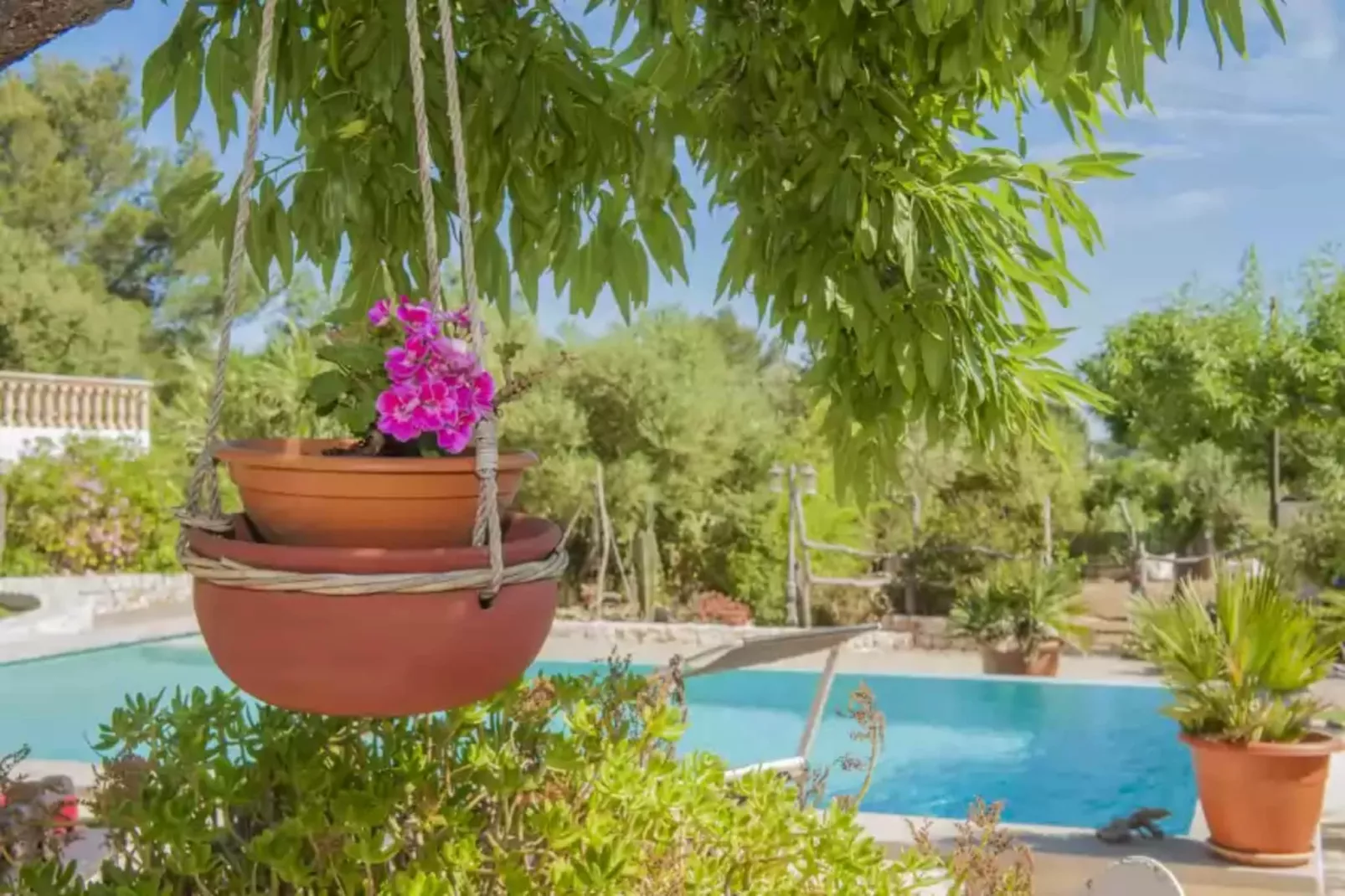 Finca Son Matginet 18-Pool