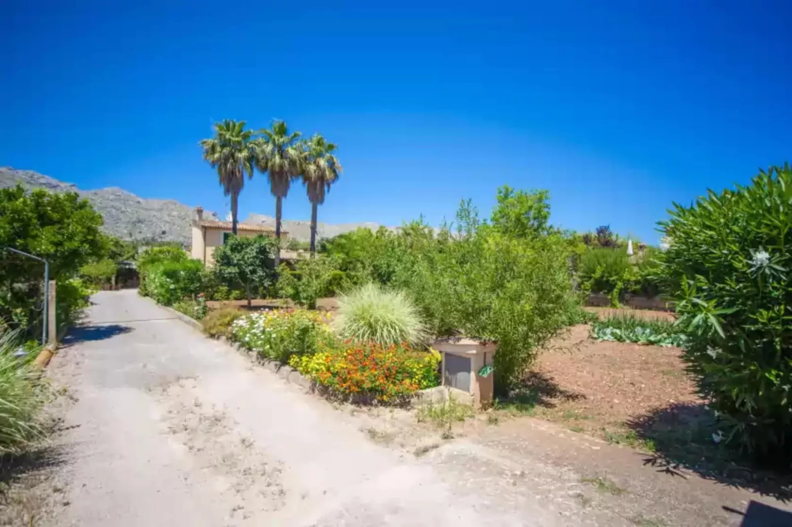 Can Boi Den Cifre-Areas summer 1km