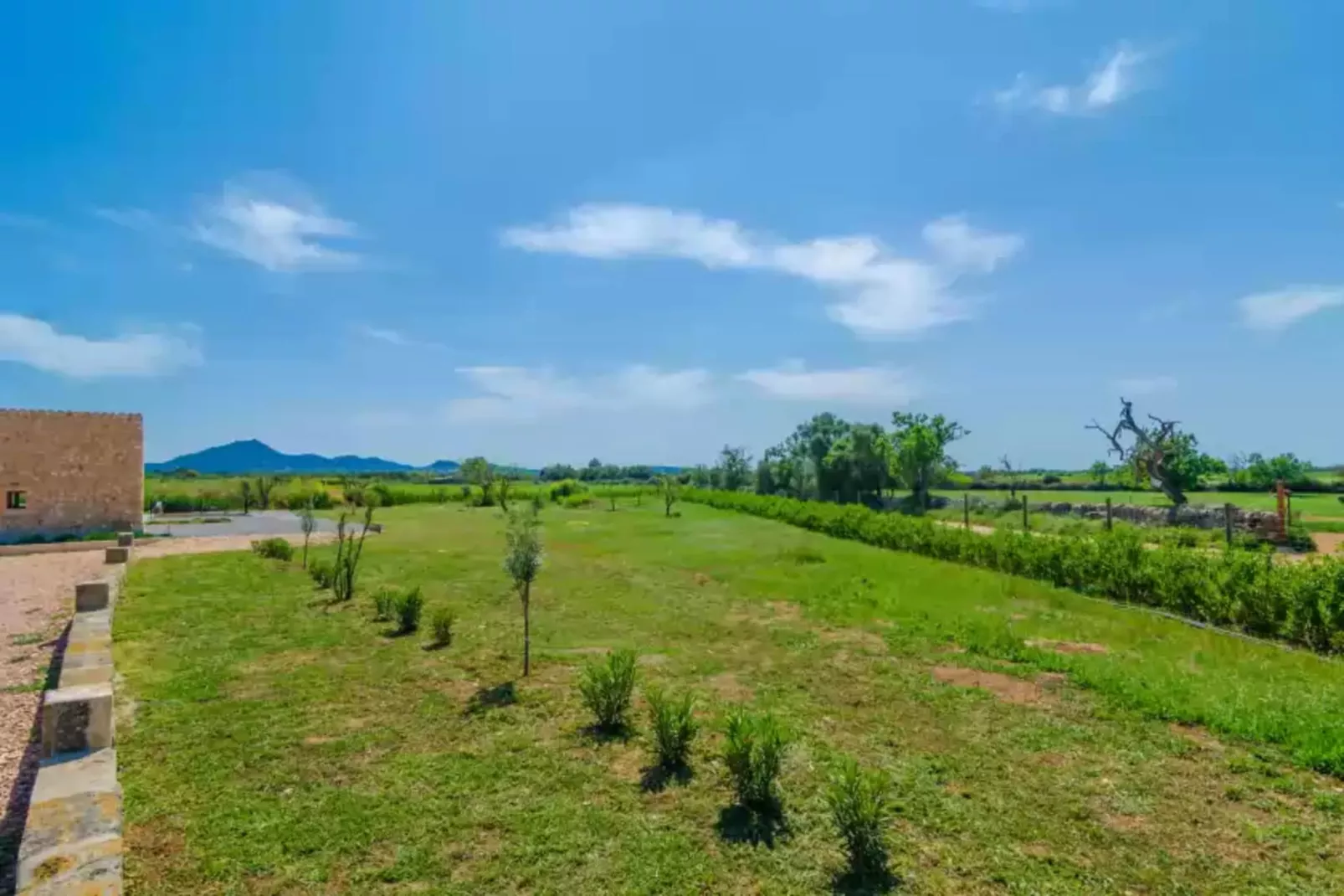 Can Gusti-Areas summer 1km