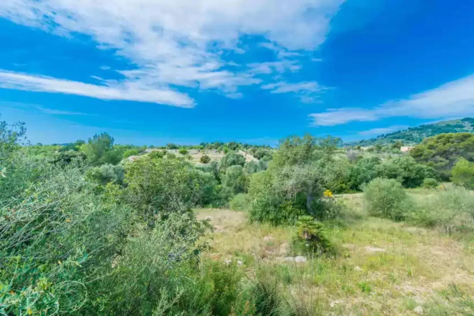 Can Canals-Areas summer 1km