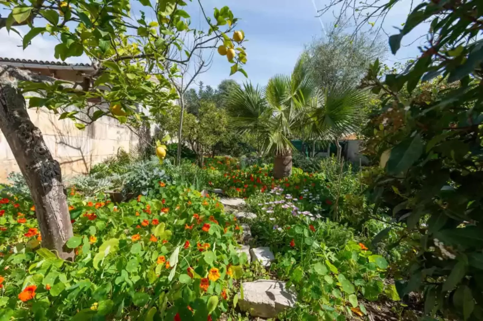 Construcciones Balaguer-Gardens summer