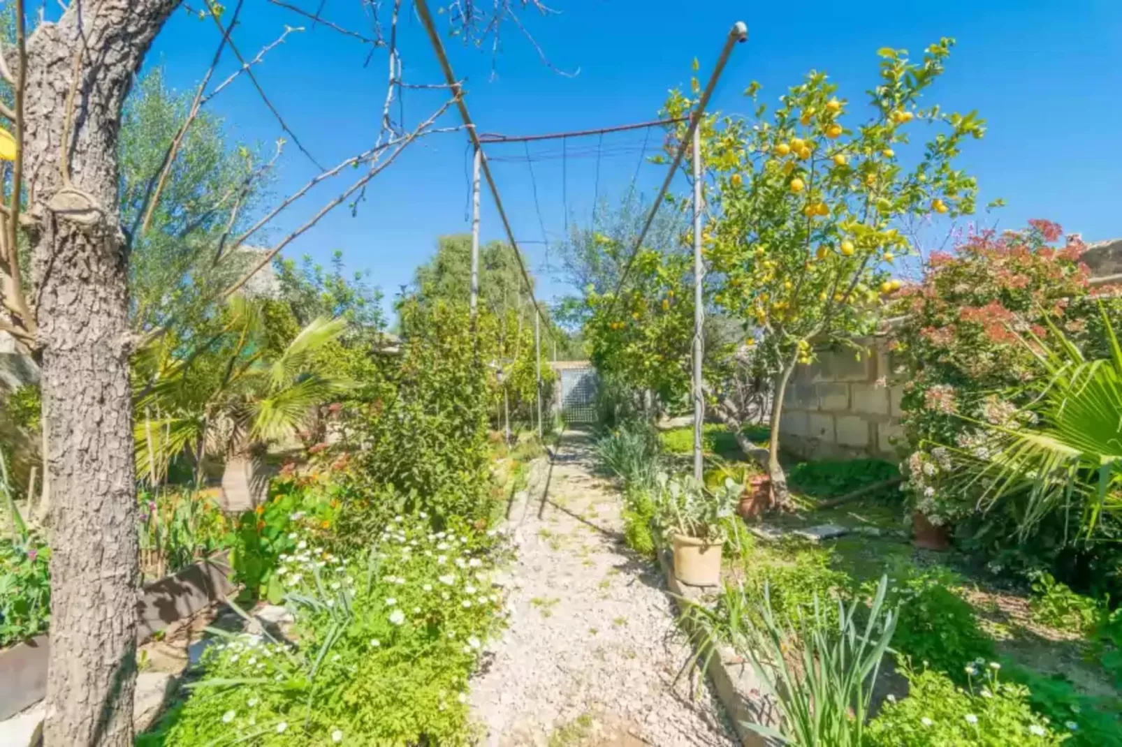 Construcciones Balaguer-Gardens summer