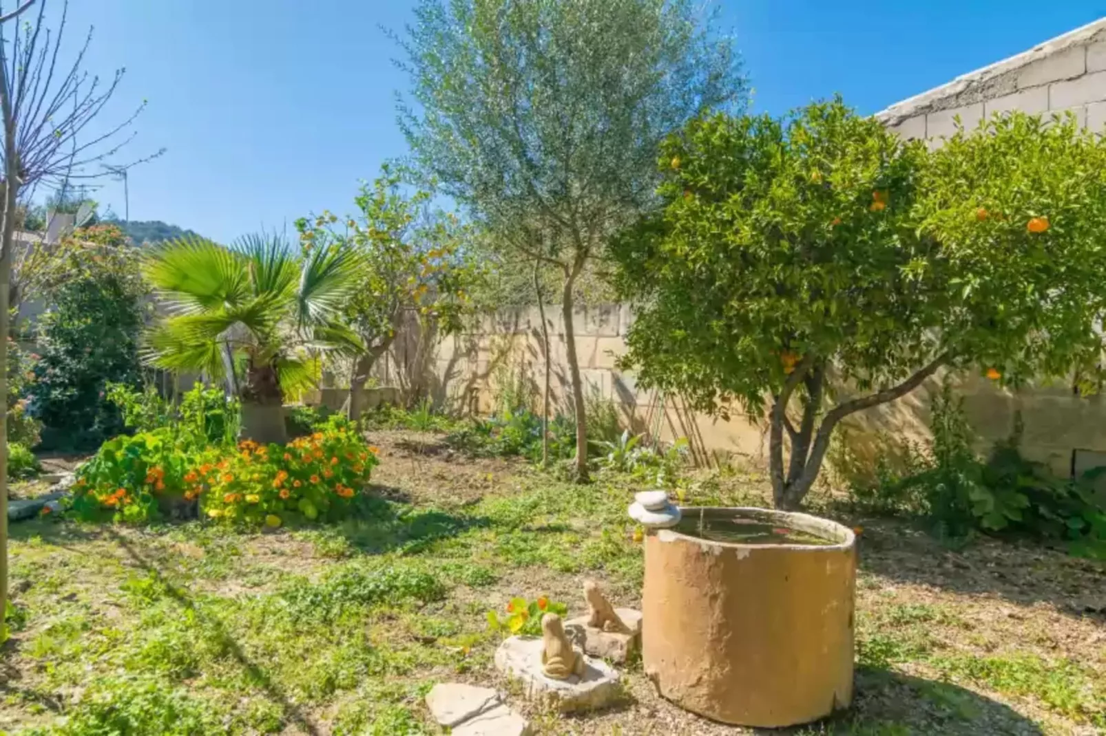 Construcciones Balaguer-Gardens summer