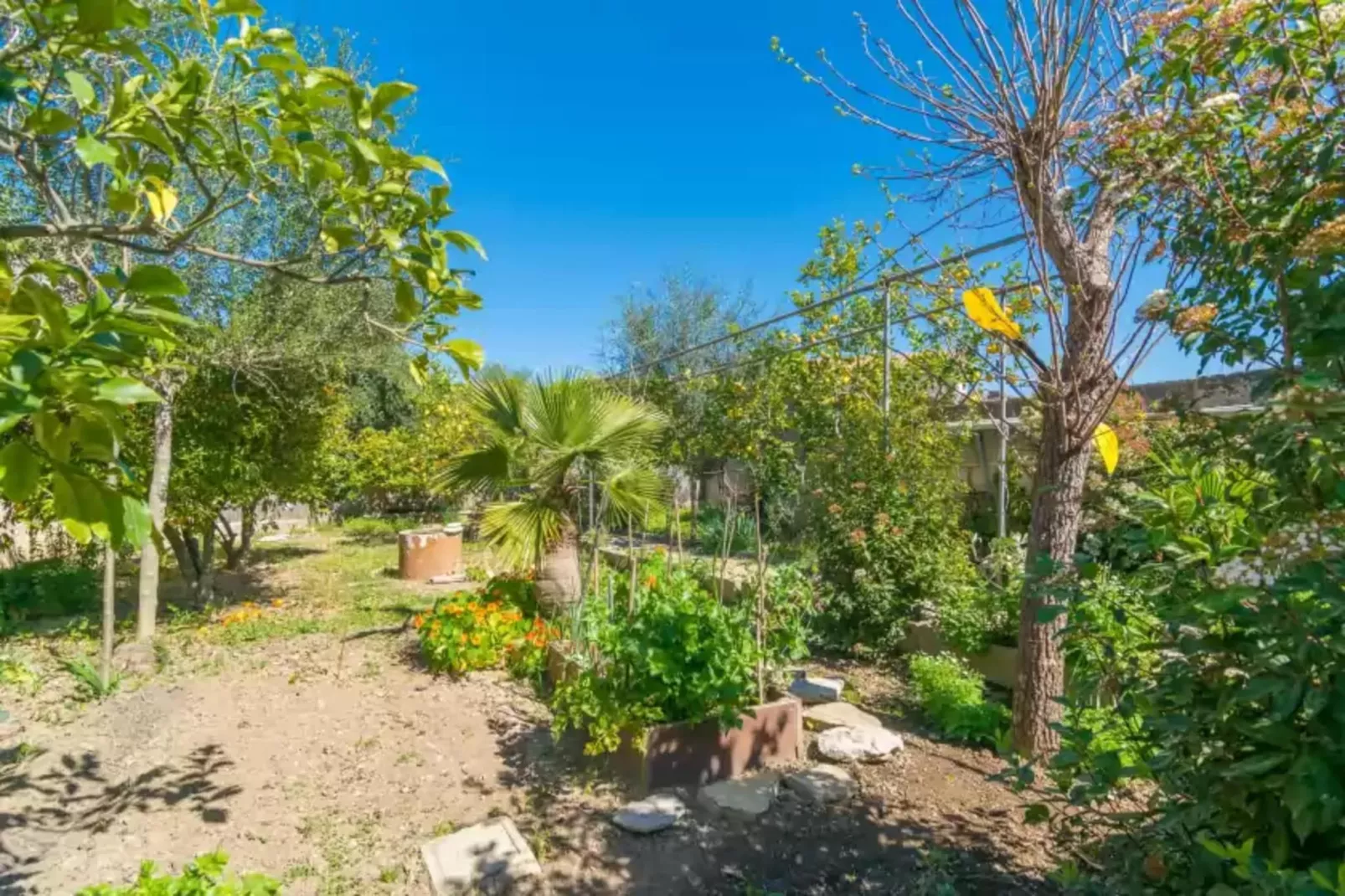 Construcciones Balaguer-Gardens summer