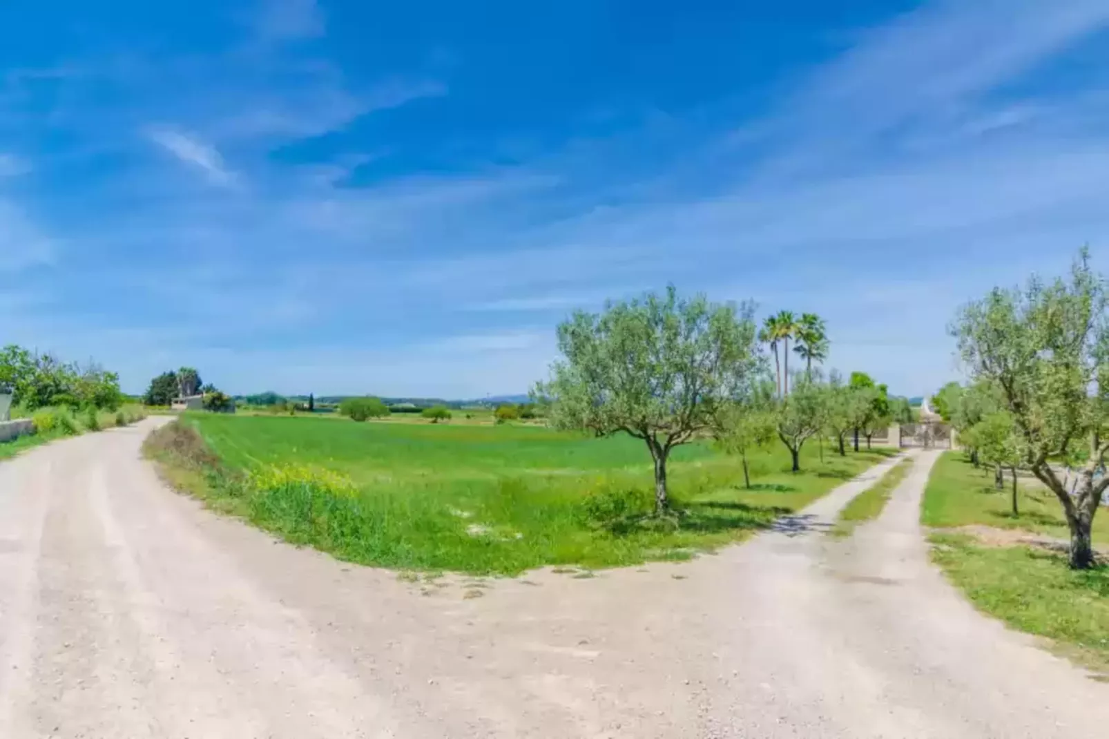Son Vanrell-Areas summer 5km