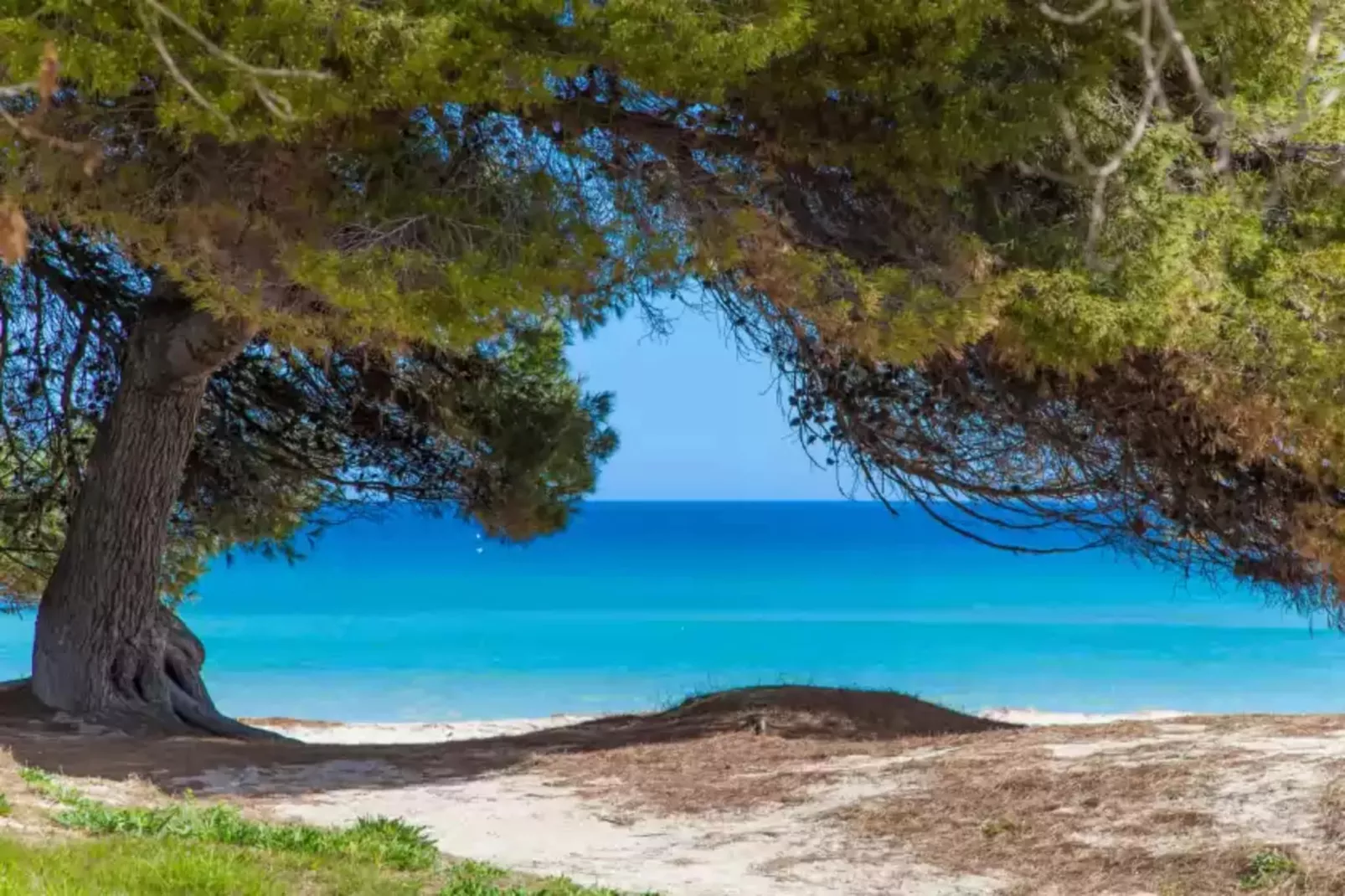 Can Joan Des Forn-Areas summer 5km
