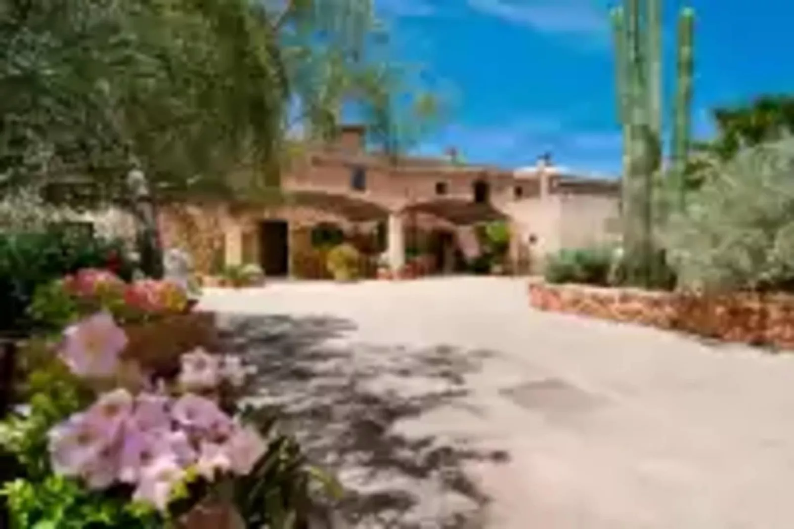 Es Rafal Roig (galiner)-Exterior summer