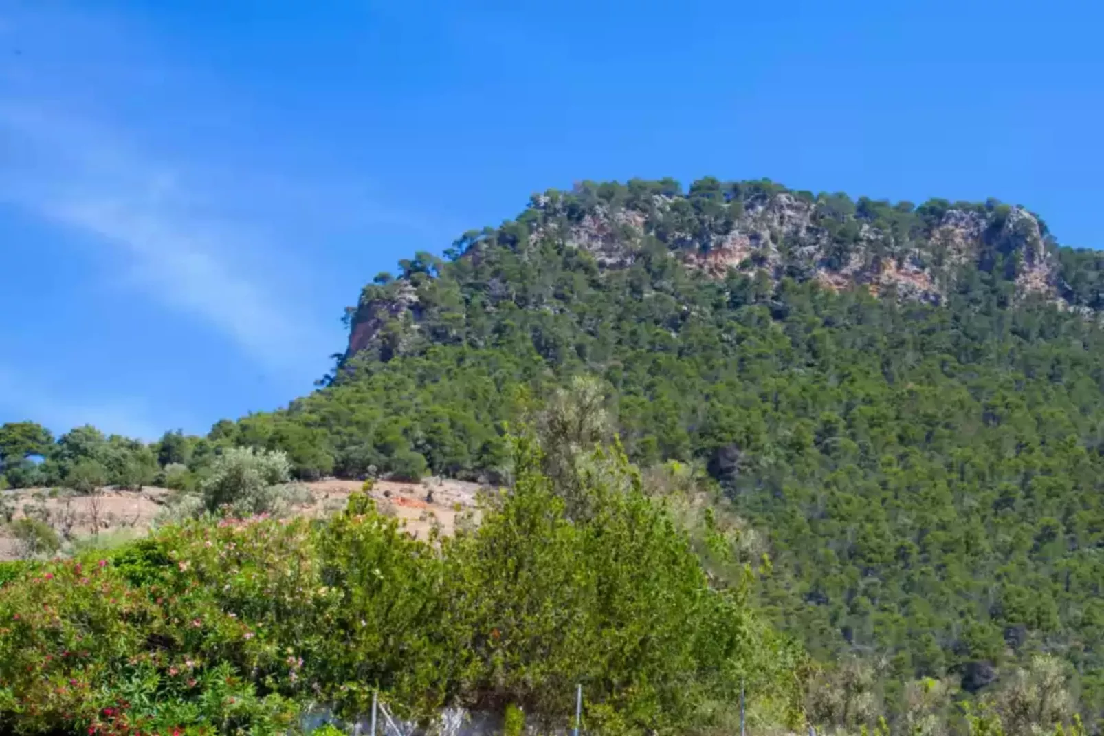 Eremus-Areas summer 20km