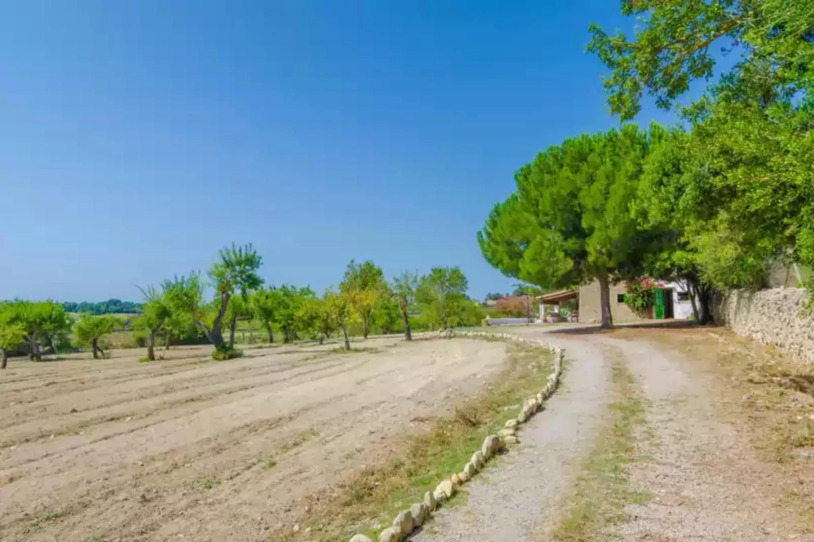 Sa Rota (den Joan Porrerenc)-Areas summer 1km