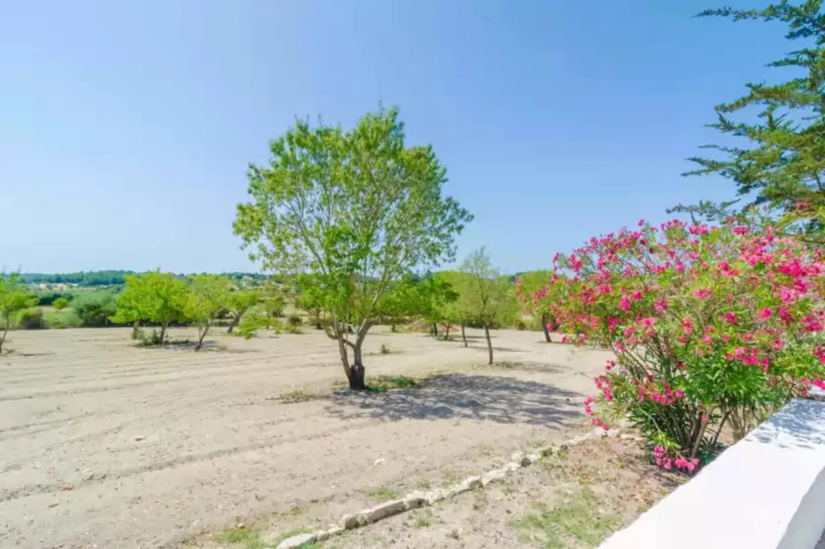 Sa Rota (den Joan Porrerenc)-Areas summer 1km