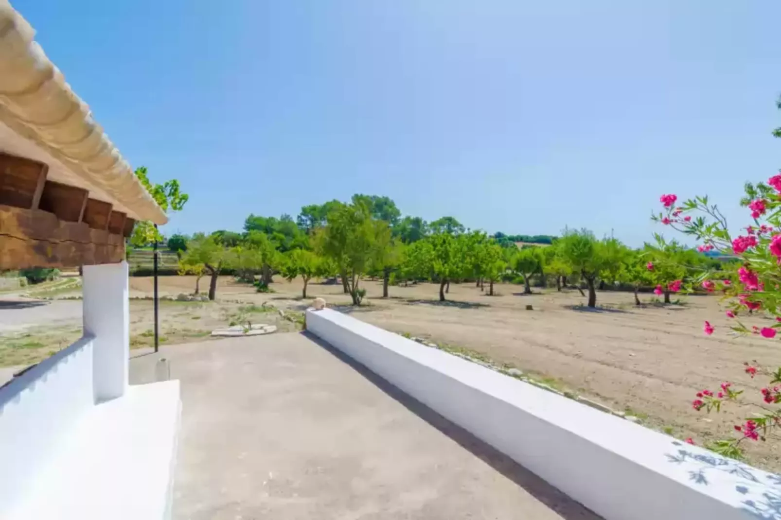 Sa Rota (den Joan Porrerenc)-Areas summer 1km