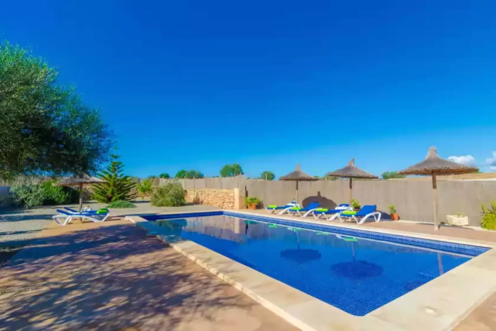 Sa Punta (sa Punta Bertumins)-Pool