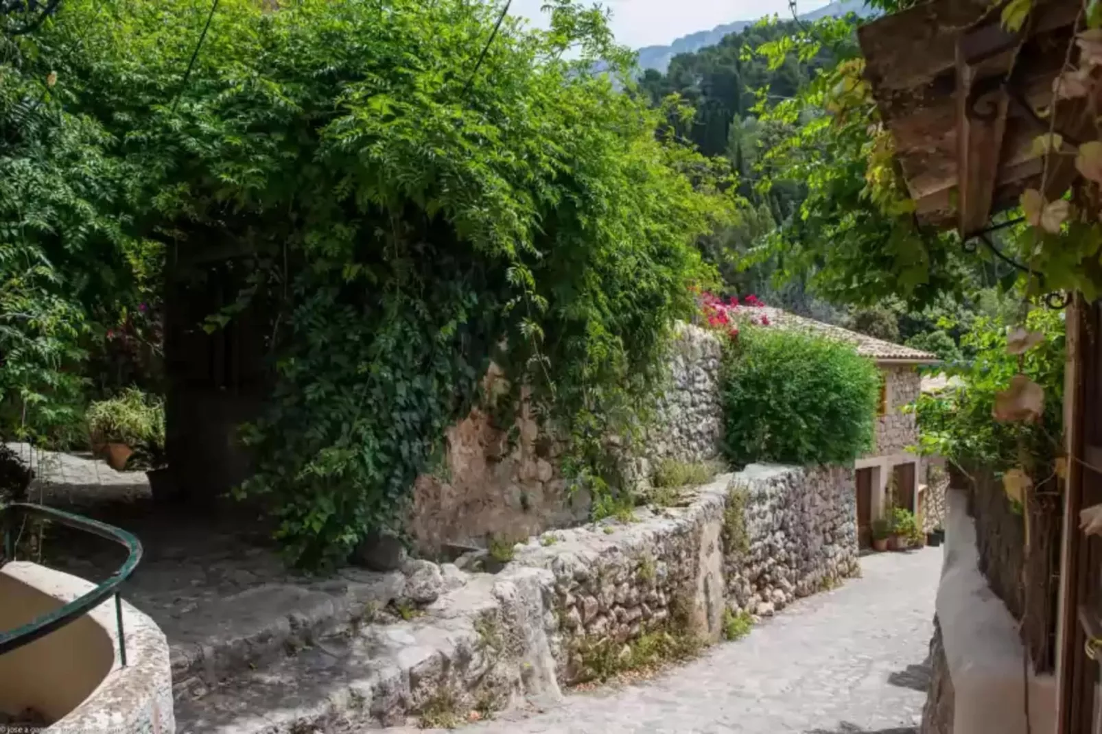 S'olivaret (fornalutx)-Areas summer 1km