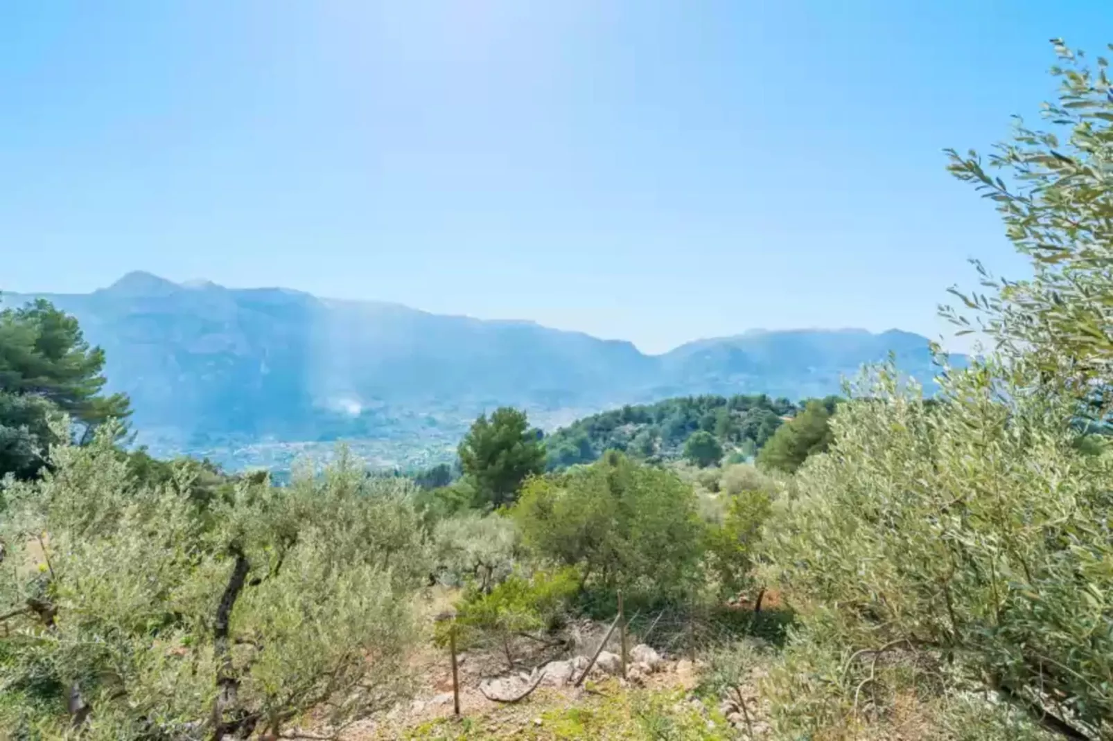 S'olivaret (fornalutx)-Areas summer 5km