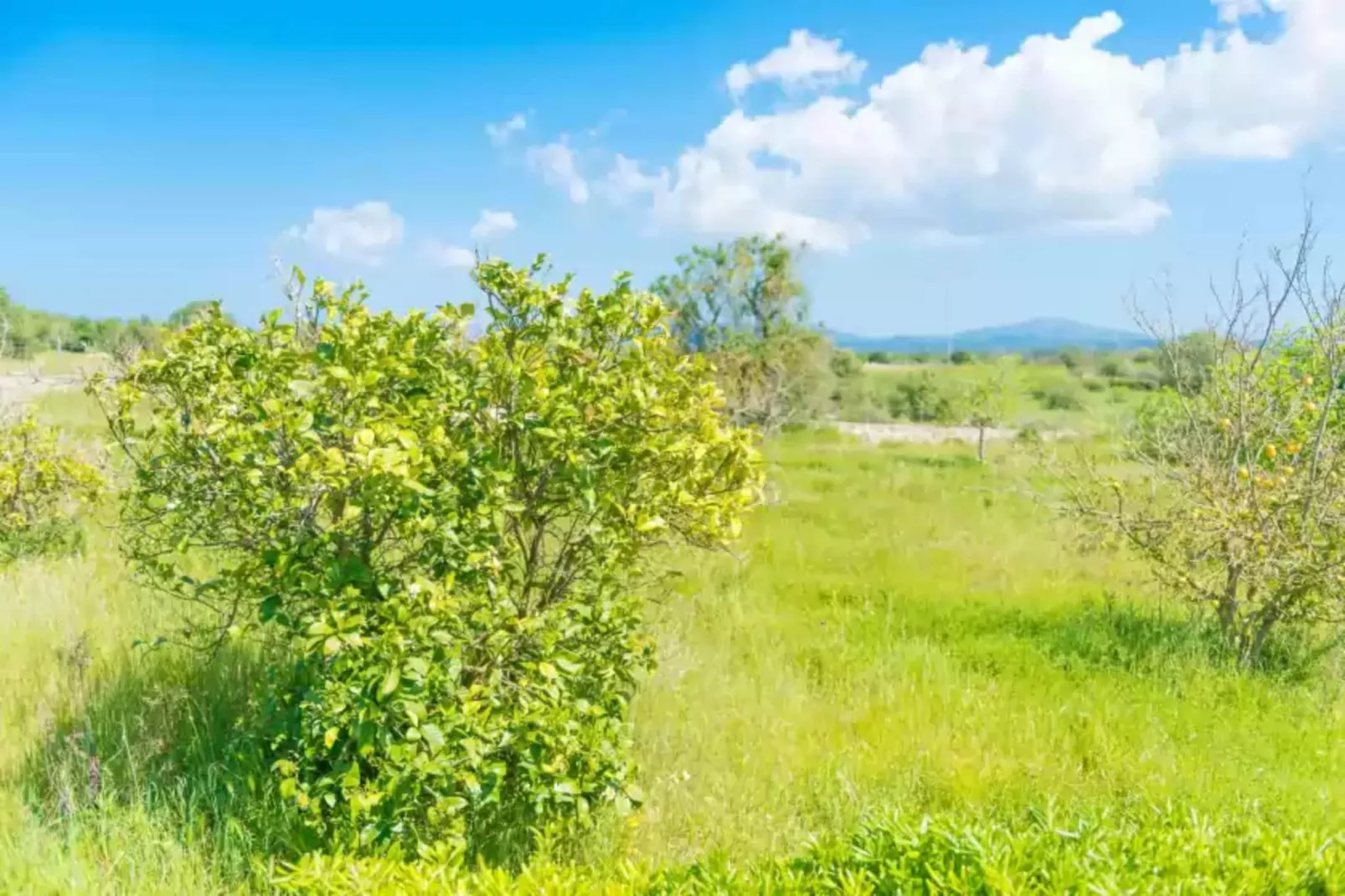 Casa Holganza-Areas summer 1km