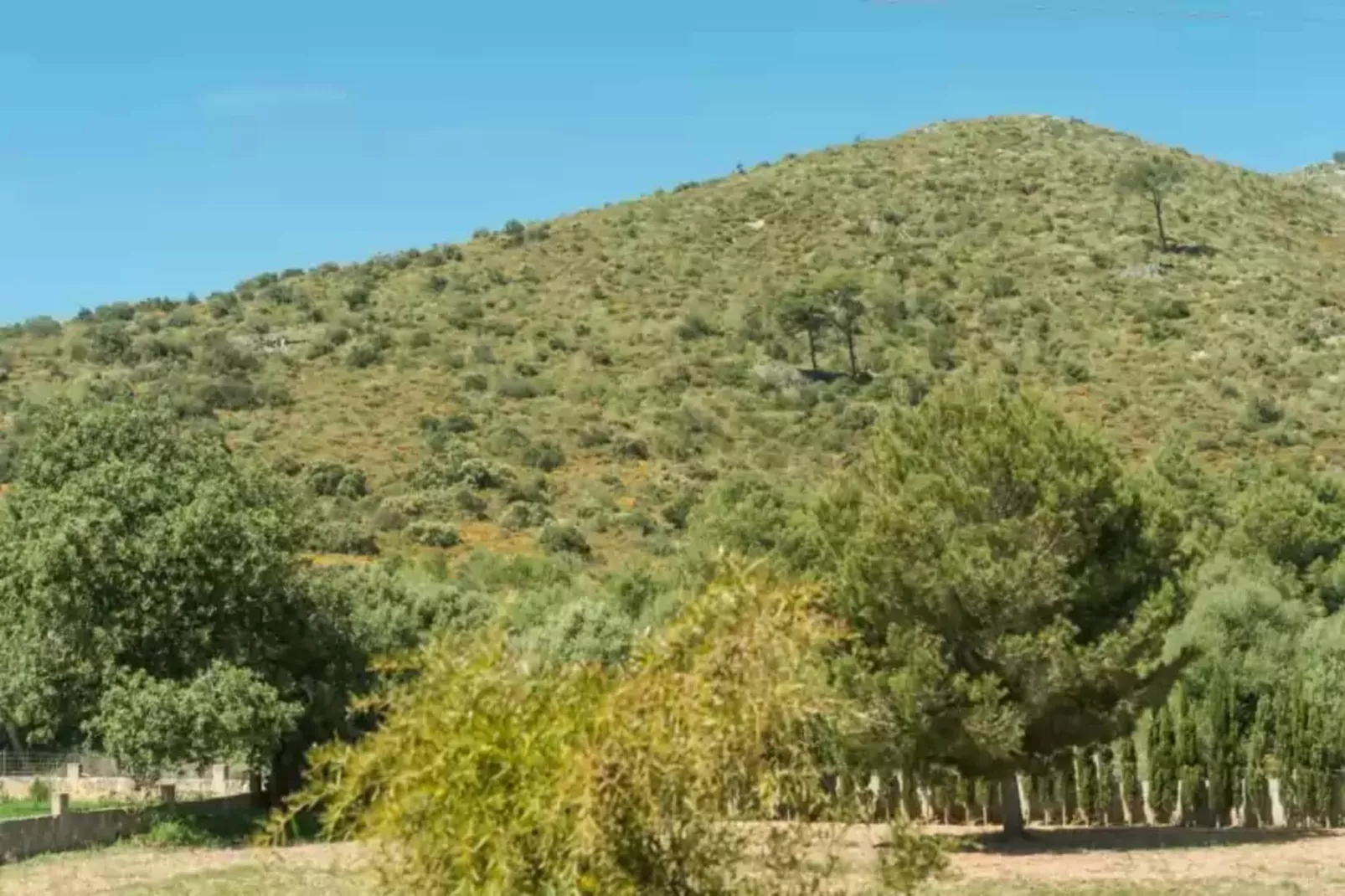 Cas Padri-Areas summer 20km